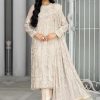 Salwar Kameez Zarif | Fauna Embroidered Pakistani Salwar Kameez