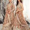 Lehengas Aik | Festive Collection Embroidered Pakistani Anarkali/ Lehenga